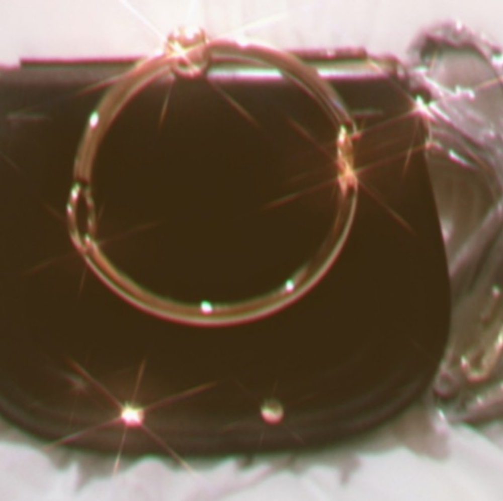 Chloe' Nile Bracelet Bag